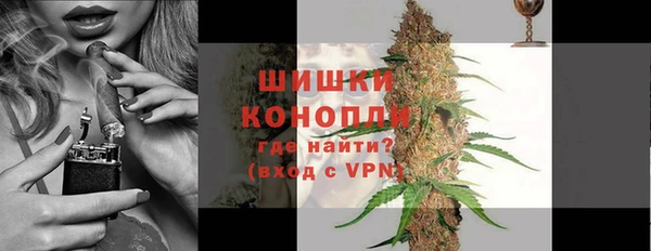 прущие грибы Арсеньев