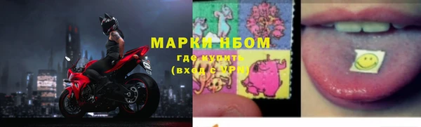 прущие грибы Арсеньев